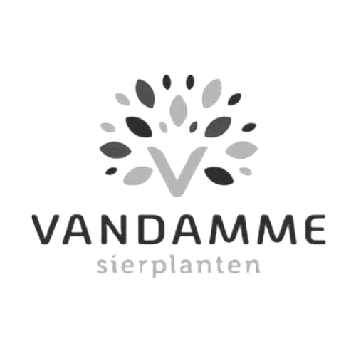 Van Damme